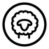 Merino Wool