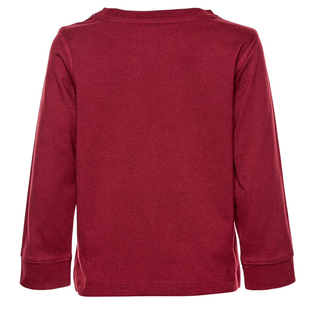 The Best Darn LS Graphic Tee