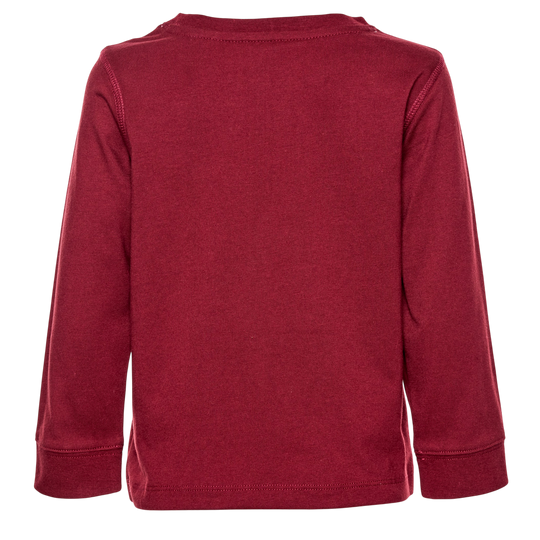 The Best Darn LS Graphic Tee