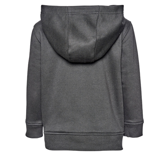 The Best Darn Flex Graphic Hoodie