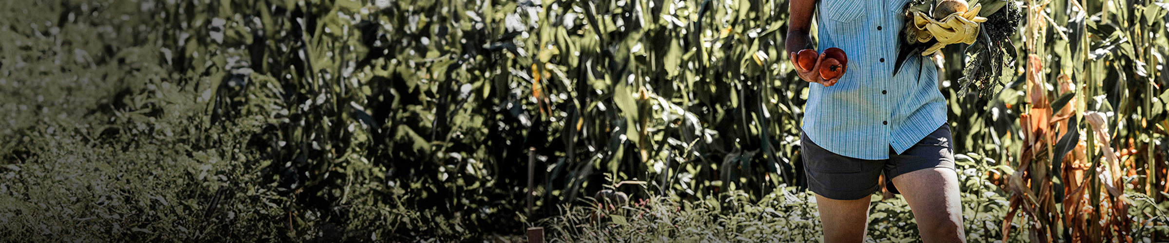 woman in shorts holding fresh fruit walking out of a garden