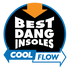 Best Dang Insoles Cool Flow